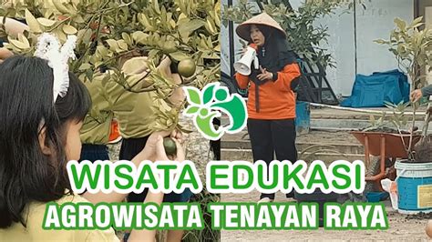 Taman agro wisata tubaba bisa disebut sebagai ikon yang diba. Wisata Edukasi Taman Agrowisata Tenayan Raya Pekanbaru ...