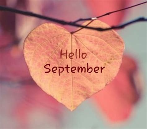 Hello September Heart Leaf Pictures Photos And Images