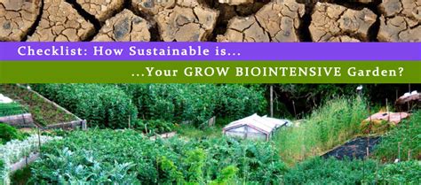 How Sustainable Is Your Grow Biointensive Garden John Jeavons