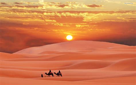Desert Sunset Wallpapers Top Free Desert Sunset Backgrounds