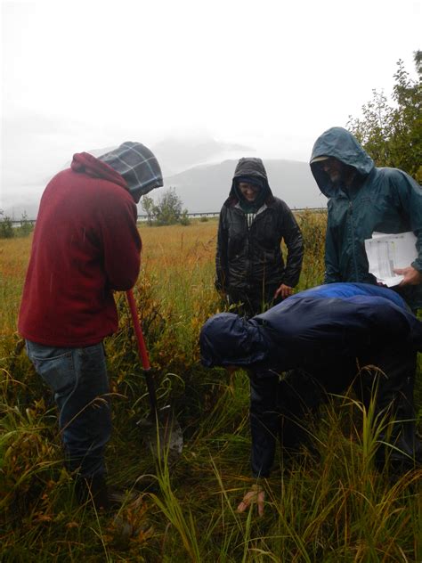wetland functional assessment training in haines ak southeast alaska watershed coalition