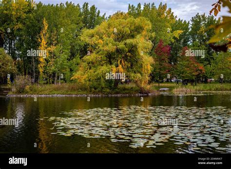 Autumn Colors By The Riverside Stock Photo Alamy