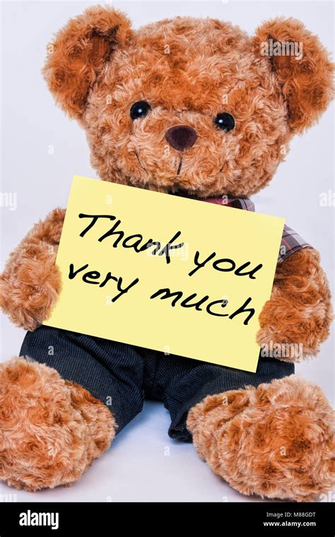 Cute Teddy Bear Holding A Yellow Sign That Says Thank You Very Much
