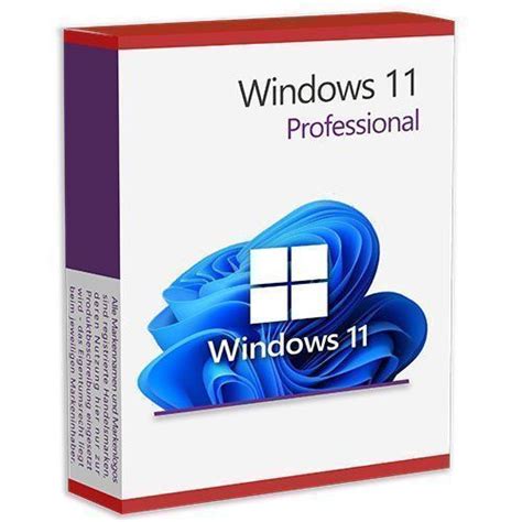 Windows 11 Pro Product Key Acheter Sur Ricardo