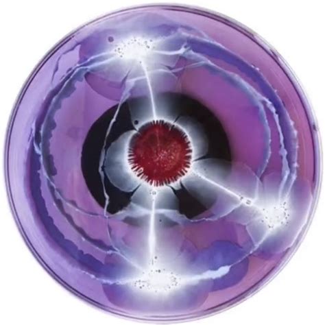 A Purple And White Object With Red Center