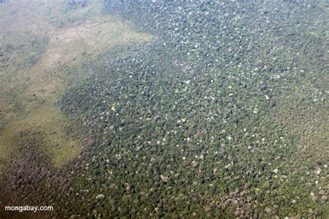 Amazon Rainforest As Seen From Above