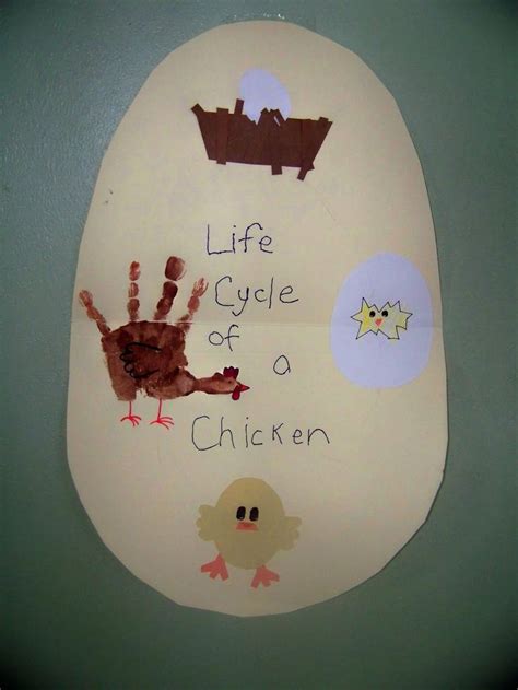 Life Cycle Of A Chicken For Preschool Chicken Life Cycle Craft Life