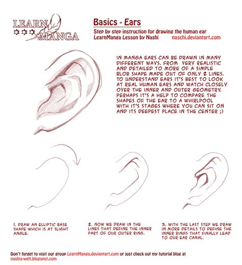 Anime style drawings are increasingly popular as japanese manga (comics) and anime. Elf Ears Drawing at GetDrawings | Free download