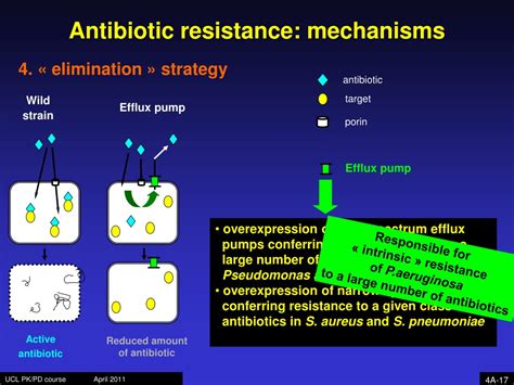 PPT Antibiotic Resistance PowerPoint Presentation Free Download ID