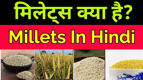 Millets In Hindi Sundarta