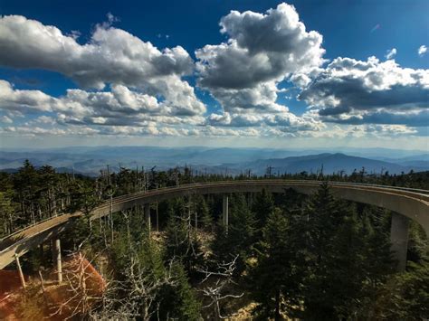 Great Smoky Mountains National Park Bernies Trail Life