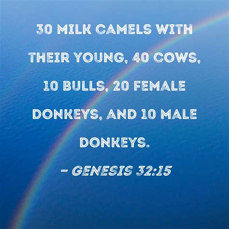 Genesis 32:15 30 milk camels with their young, 40 cows, 10 bulls, 20