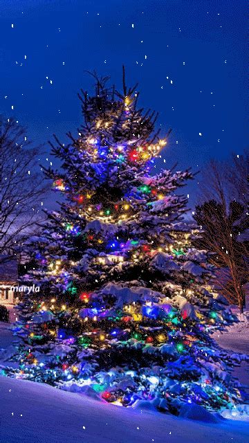30 Amazing Christmas Tree S To Share Best Animations