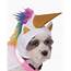 Light Up Unicorn Dog Costume For Halloween  Horror Shopcom