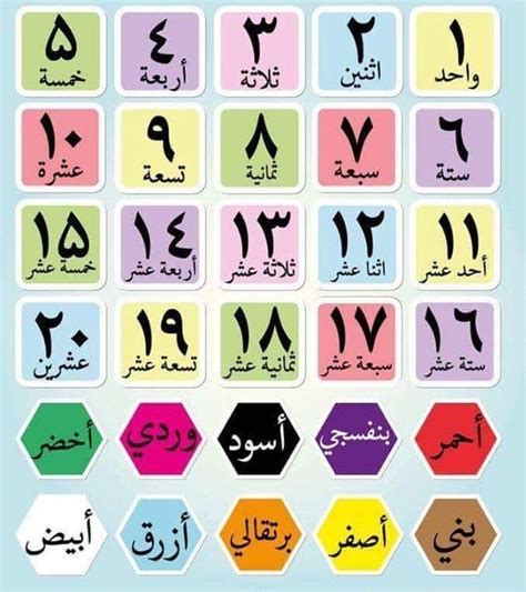 Arapça Sayılar Belajar Abjad Arab Panduan Belajar