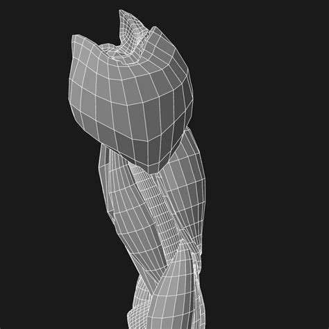 3d Complete Male Arm Anatomy