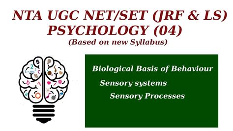 Sensory Processes Sensory Systems Biological Basis Of Behaviour