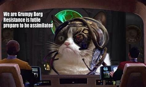 We Are Grumpy Borg Resistance Is Futile Prepare To Be Assimilated