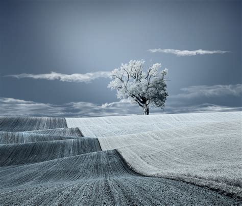 Surreal Fine Art Conceptual Photography Arts Fantastic Landscape