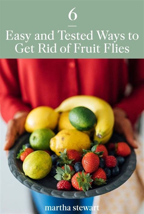 Here Are Six Natural Ways To Get Rid Of Fruit Flies In Your Kitchen