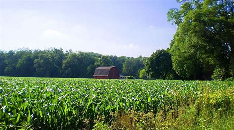 Investing Strategically In Large Rural Land Tracts Can Lead To