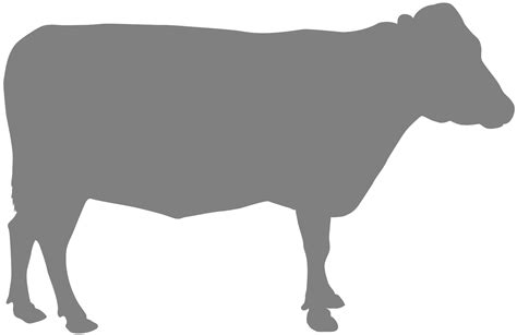 Cow Silhouette Free Vector Silhouettes