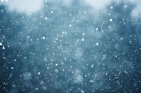Winter Scene Snowfall On The Blurred Background Stock Photo Download