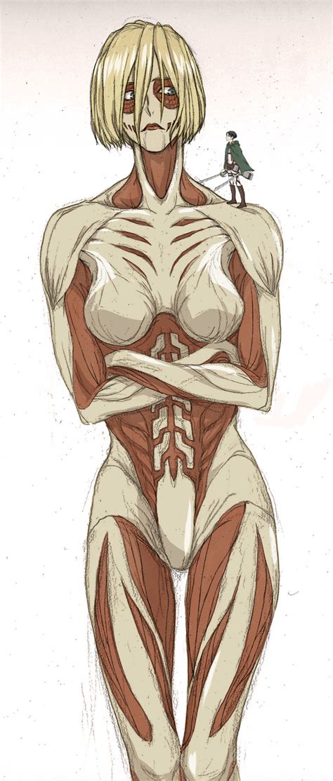 Female Titan Levi Shingeki No Kyojin Titan Shingeki No Kyojin