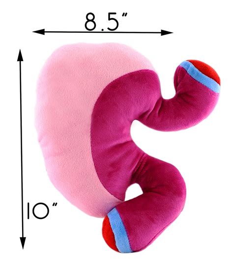 Gigantic Gastric Sleeve Pillow Gastric Bypass Gastric Band Weight Loss Surgery Stomach Plush Toy