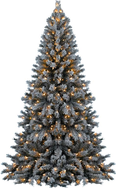 Christmas Tree Png Transparent Background IMAGESEE