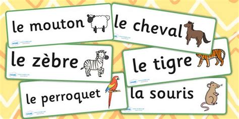 French Animal Word Cards France Languages Eal Animals Esl German
