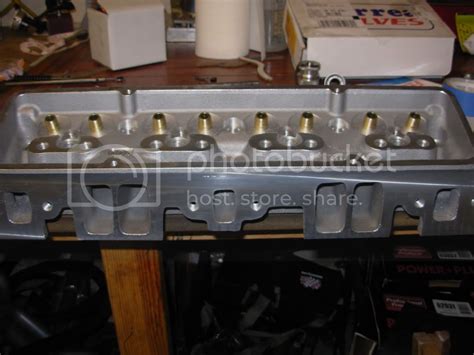 Dart Sbc Shp Heads Team Chevelle