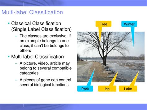 32 multi label image classification labels design ideas 2020 riset