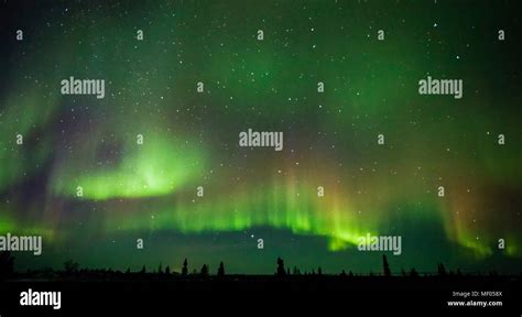 Amazing Aurora Borealis Lit Up The Northern Sky In The Wapusk National
