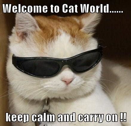 See full list on iheartcats.com Keep calm - Lolcats - lol | cat memes | funny cats | funny ...