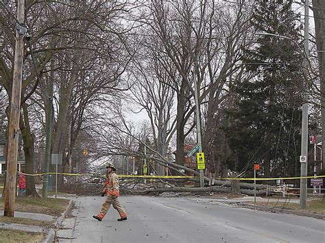 inquinte ca video heavy winds knock out power causing chaos