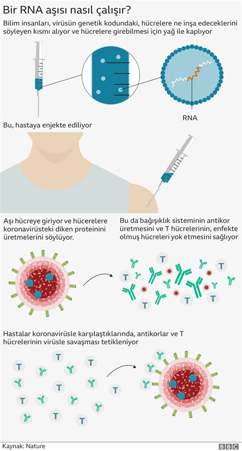 Mrna Aşısı Nedir Ne Kadar Etkili Ve Biontechin Kullandığı