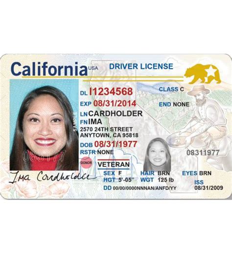 California Drivers License Enhanced Novelty Drivers License