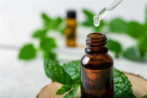Is Peppermint Essential Oil Safe For Dogs Sundays For Dogs