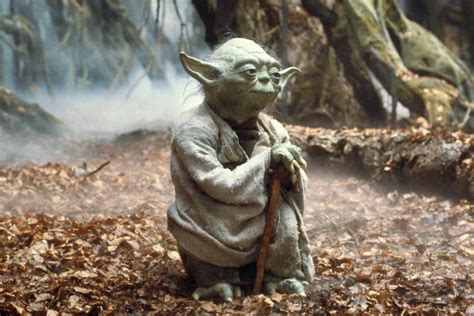 Powerful Yoda Quotes To Awaken Your Inner Force Readers Digest