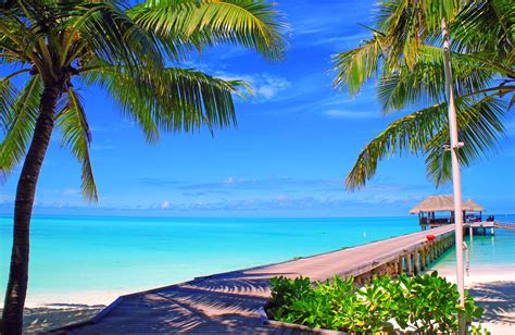 Maldives Sky Clouds Island Palm Trees Bungalows Sea Ocean