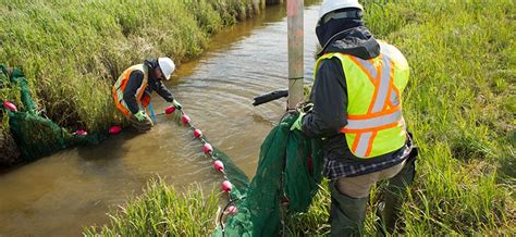 Malaysia erm has been assisting a wide range of clients to address environmental, health, risk and safety concerns in malaysia since the mid 1980s and opened its first office in kuala lumpur in 1996. Environmental Impact Assessment EIA Report Malaysia ...