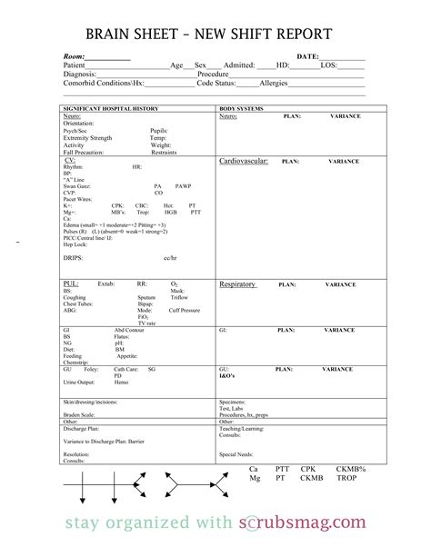 Free Nursing Report Templates