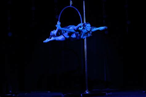 Double Lyra Aerial Hoop Lyra Circus Concert Concerts