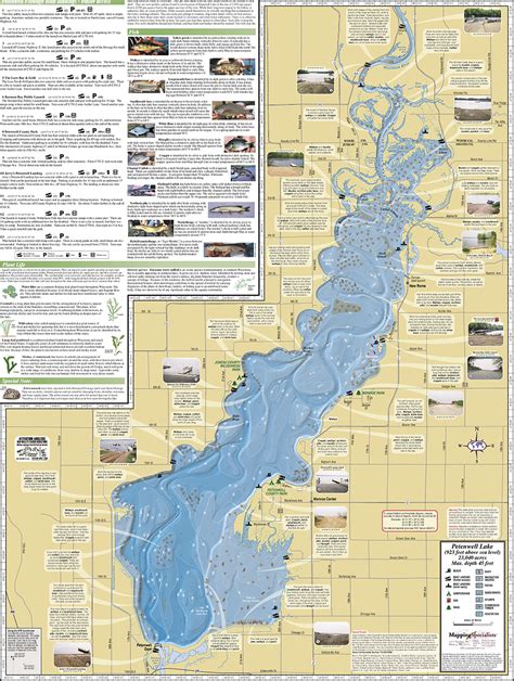 Petenwell Lake And Castle Rock Lake Fold Map Mapping Specialists Limited