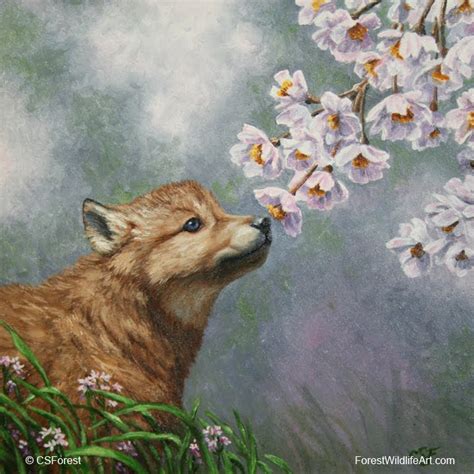 Crista Forests Animals And Art Wolf Pup And Flower Blossoms Painting