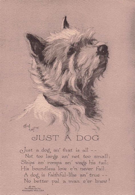 Dog Poems Dog Quotes Cairns I Love Dogs Cute Dogs Cairn Terriers
