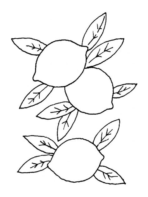 Nature aesthetic aesthetic vintage amalfi coast italy oranges and lemons limoncello fruit trees farm life selfies at least. Lemon coloring pages. Download and print Lemon coloring pages.