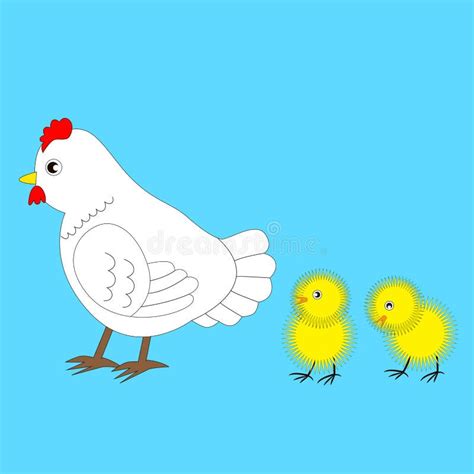 Two Chickens Stock Illustrations 341 Two Chickens Stock Illustrations