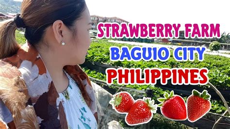 Strawberry Farm Baguio City Philippines Youtube